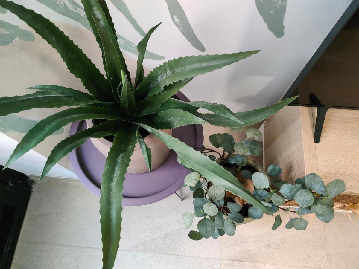Hola Apartament Alicante Extérieur photo